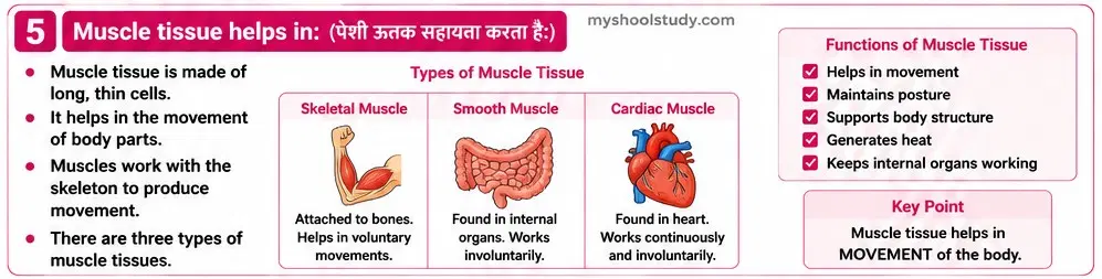 Quiz Class 9th Science 09-05-2026 9.9.5 myschoolstudy.com class 9th science ncert