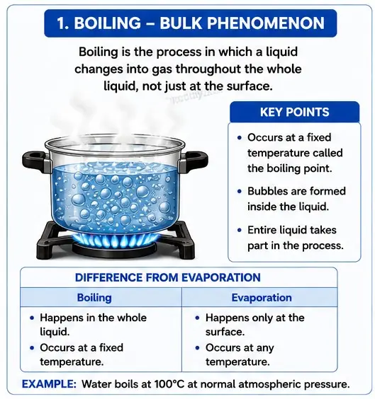 Quiz Class 9th Science 07-05-2026 class 9.1 boiling is a, my school study