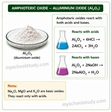 Quiz Class 10th Science 07-05-2026 class 10.3 ncert myschoolstudy.com