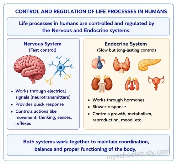 Quiz Class 10th Science 07-05-2026 class 10.5 ncert myschoolstudy.com