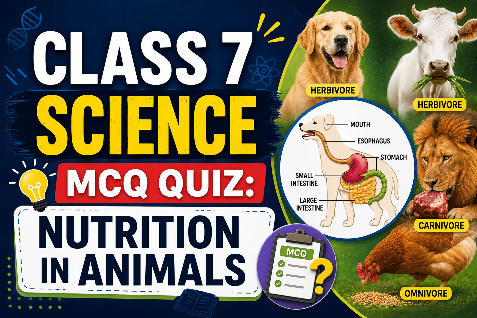 NCERT Class 7 Science Nutrition in Animals myschoolstudy.com
